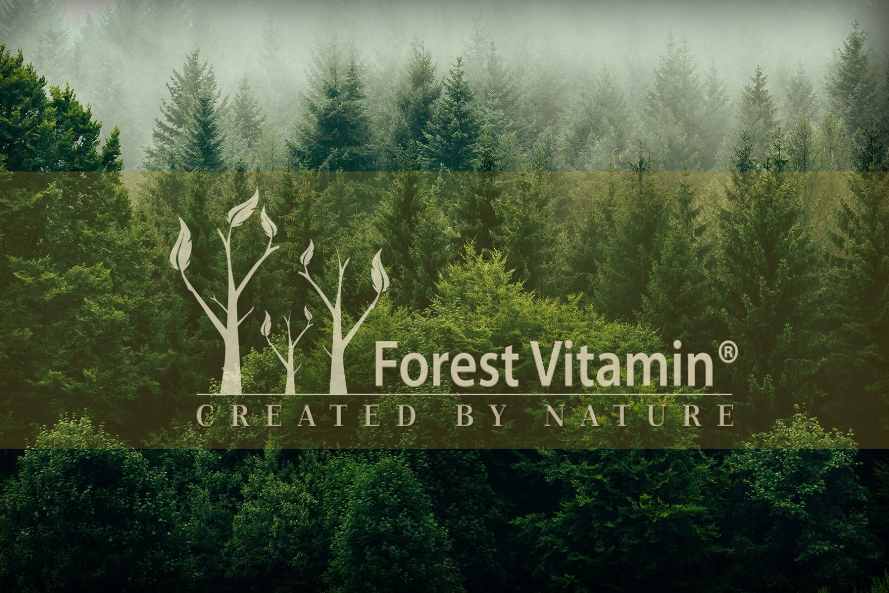 Lion's mane capsules 500 mg 60 capsules LION'S MANE Forest Vitamin Manufacturer code Soplówka Jeżowata 500mg 60k LION'S MANE STRES