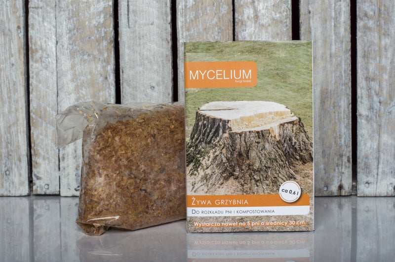 Live mycelium for removing tree trunks and roots Kind For Trunk Decomposition