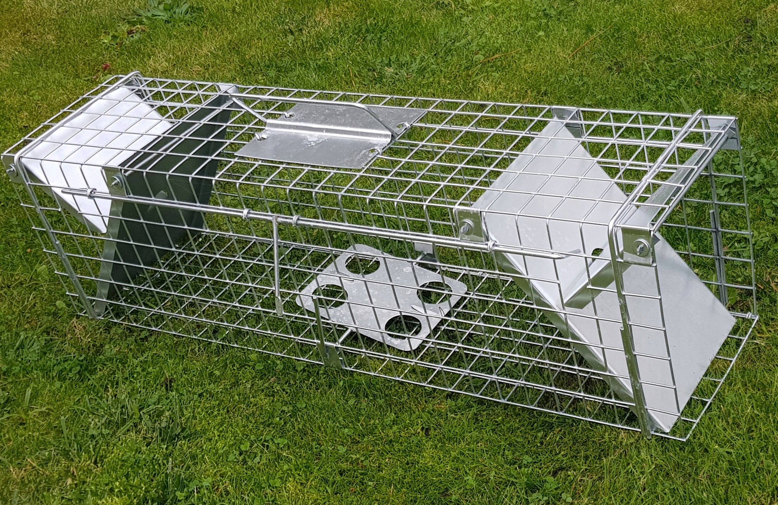 Livestock trap for martens, rats, graces, made in Poland, solid Brand Zielona Łapka