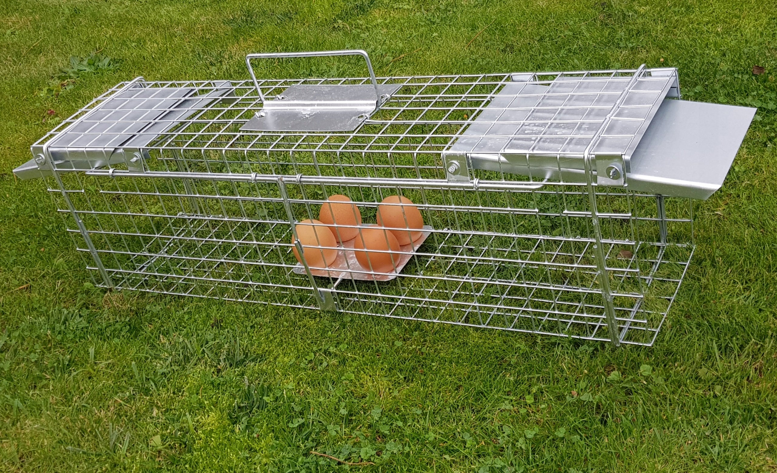 Livestock trap for martens, rats, graces, made in Poland, solid Use Against rodents martens rats wild animals