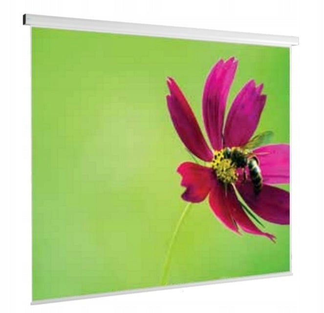 MANUAL PROJECTION SCREEN AVERS STELLA M 180 CM Brand AVERS