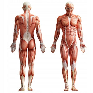 Satz olympischer Gusseisengewichte Marbo 4x5kg + 2x2,5kg + 4x1,25kg