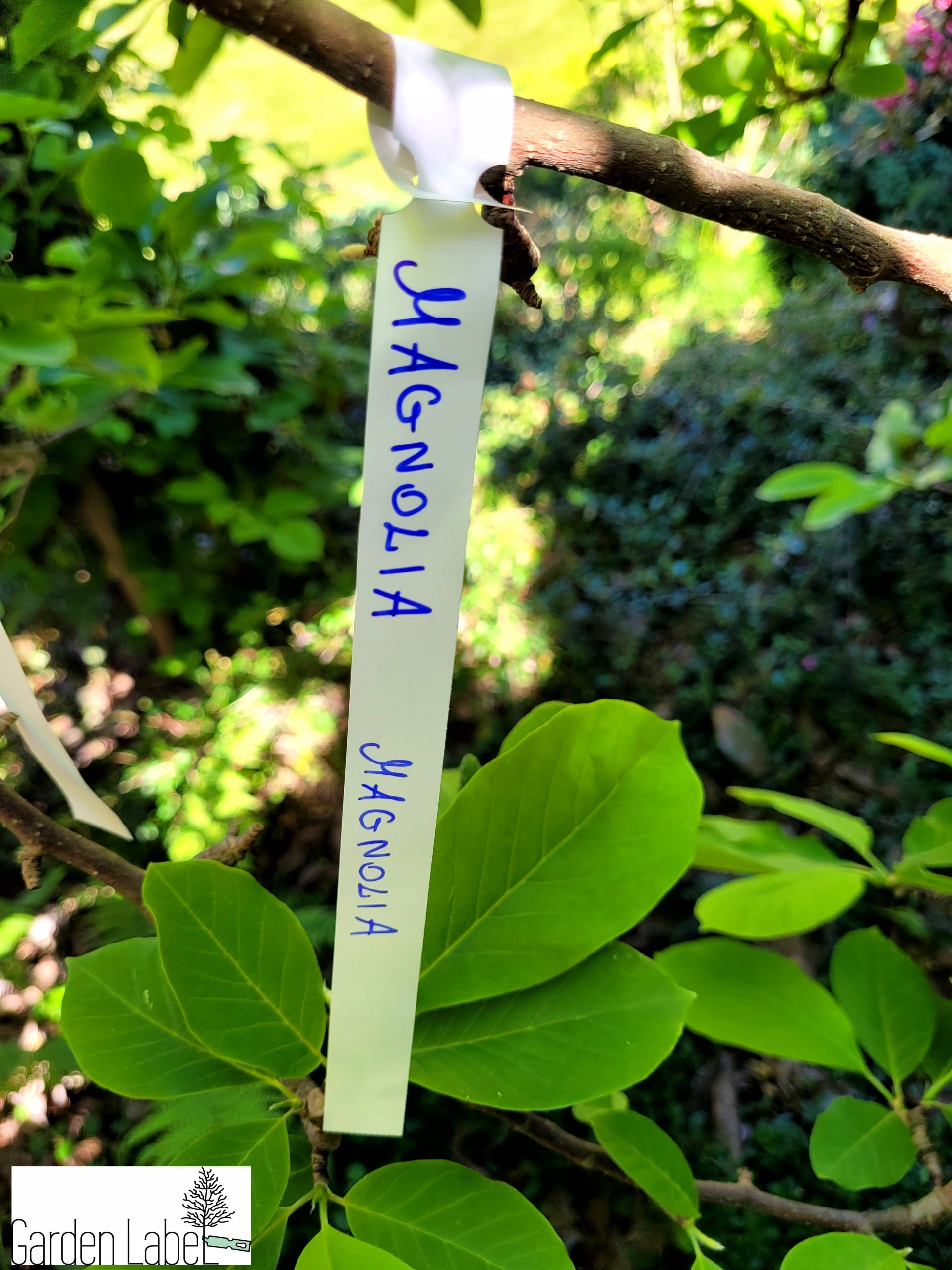 MARKER +4 COLORS Gardening Loop Labels for Writing 160x17mm 400 Pieces Product height 16 cm