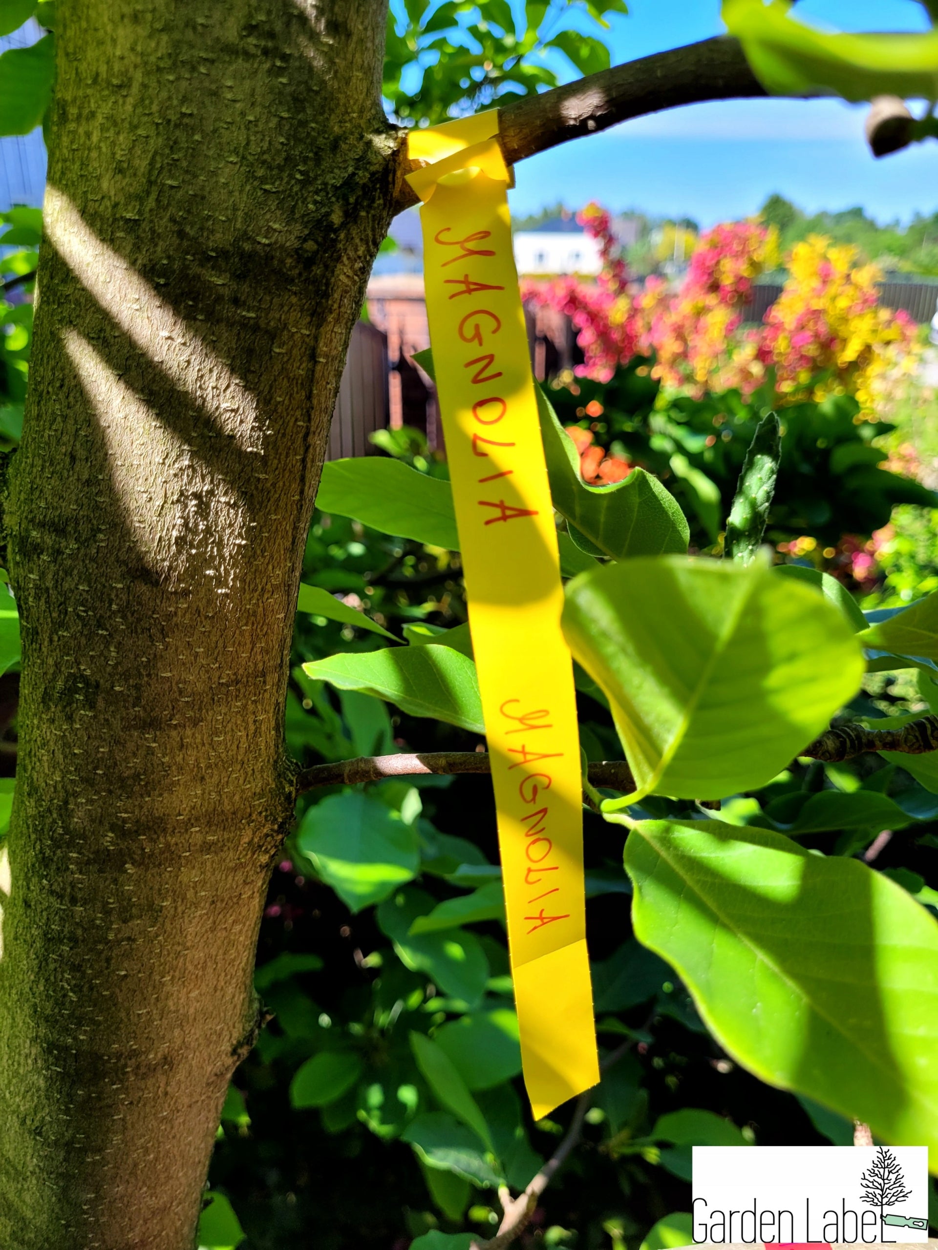 MARKER II+ Labels 6 Colors Loop for Plant Description 160x17mm(17x160) 600 Width 17 mm