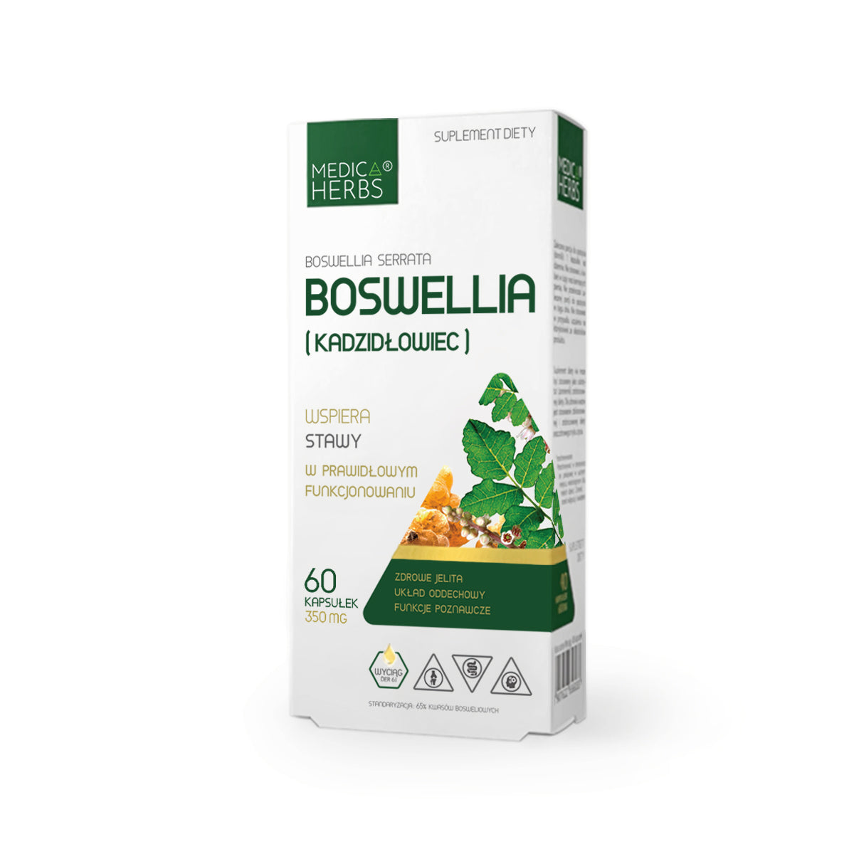 MEDICA BOSWELLIA SERRATA JOINTS BONES boswellia Indian intestine immunity