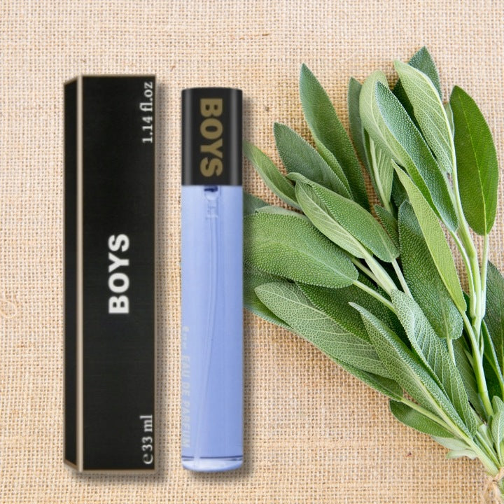 MEN'S PERFUME BOYS PERFUME SCENT SHARP PERFUME 33 ml DURABLE Brand no brand