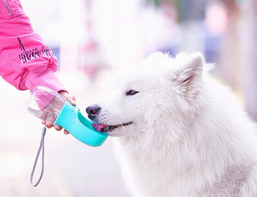 MERSJO Travel bottle portable drinker for dog TURQUOISE 350 ml 1 pc. Material made from a synthetic material