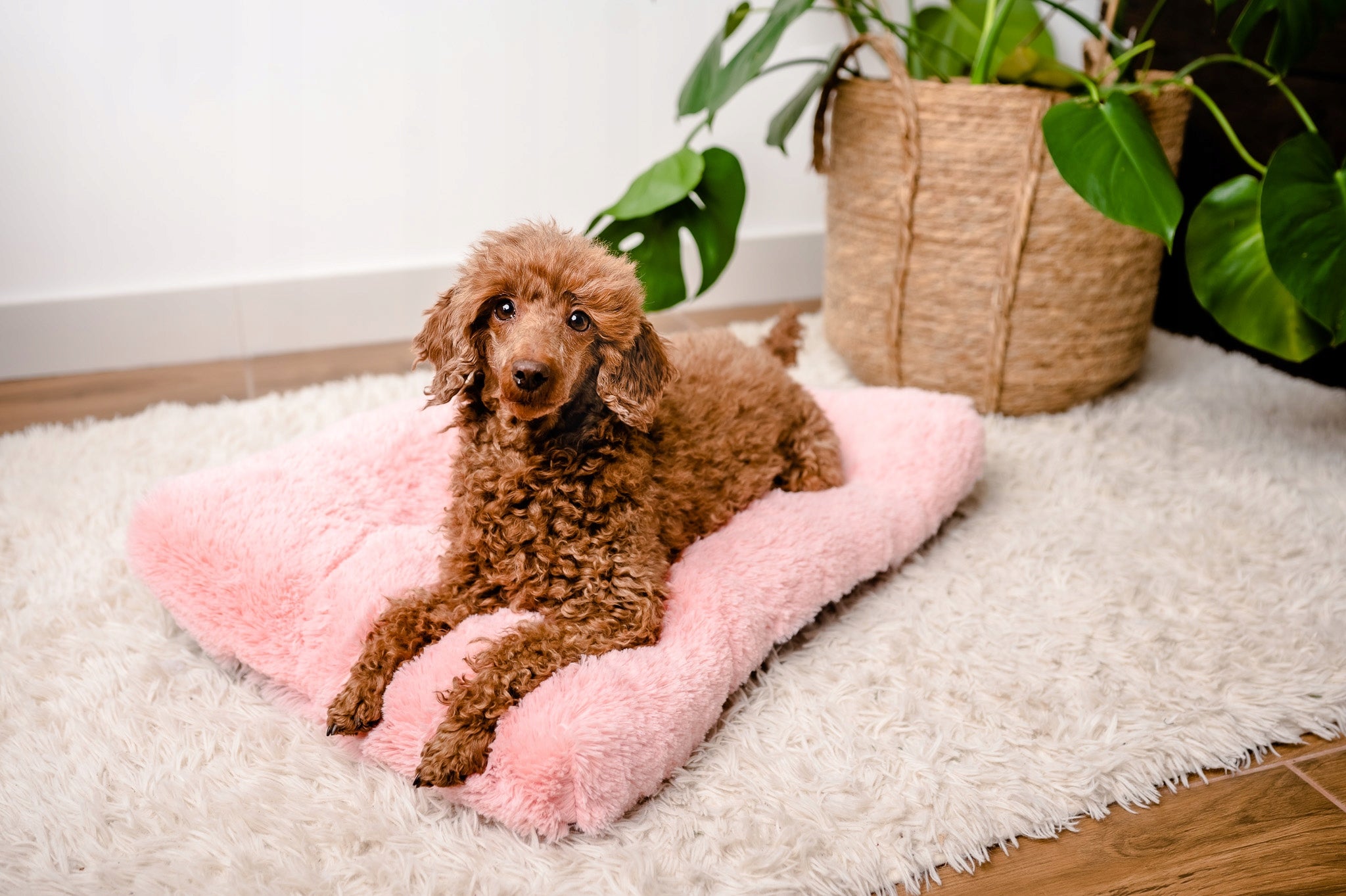 MIMIKO Pets Rectangular Shaggy Bed L 65x45cm pink Brand Mimiko Pets