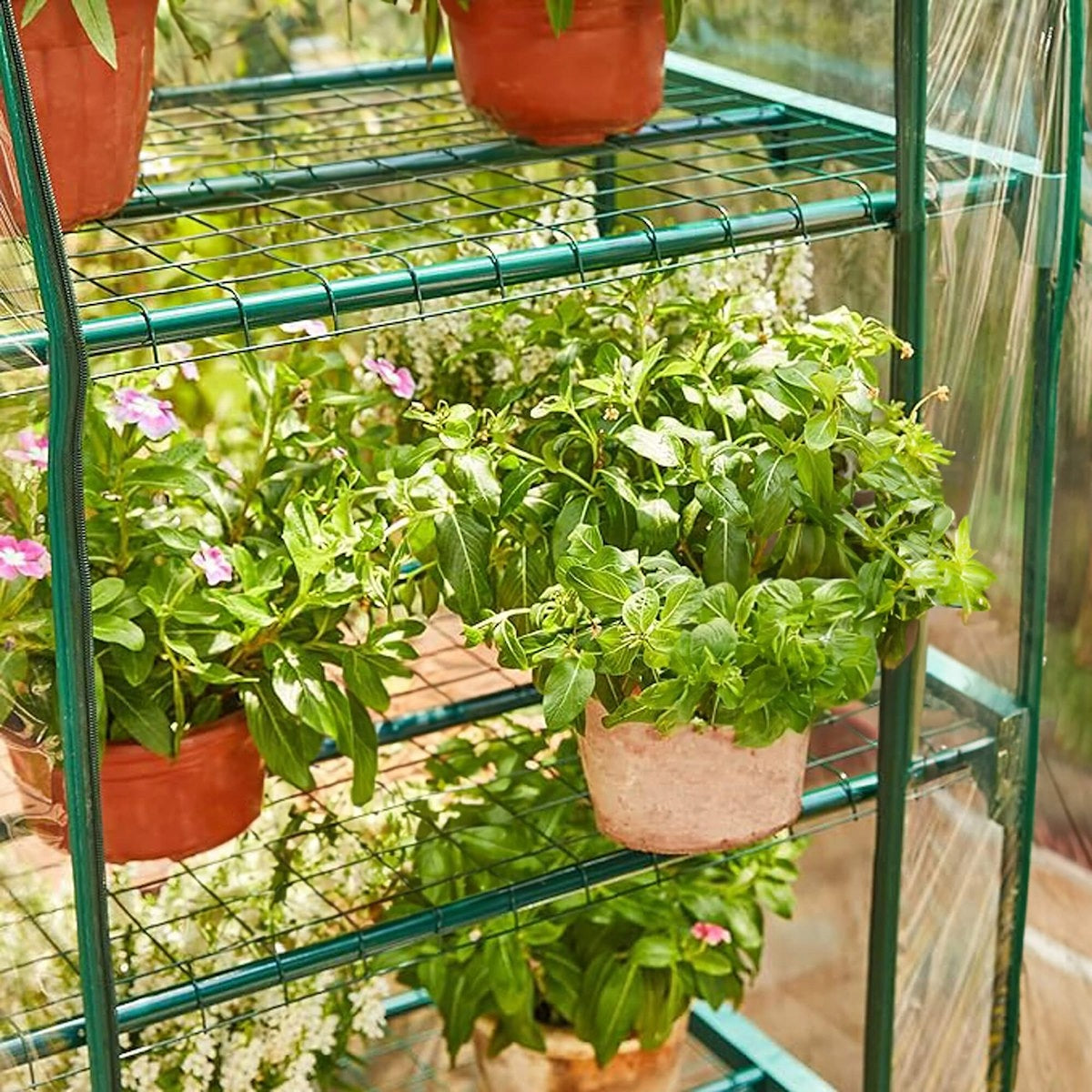 MINI GARDEN BALCONY GREENHOUSE 5 SHELVES VERTICAL FOIL Manufacturer code Szklarnia