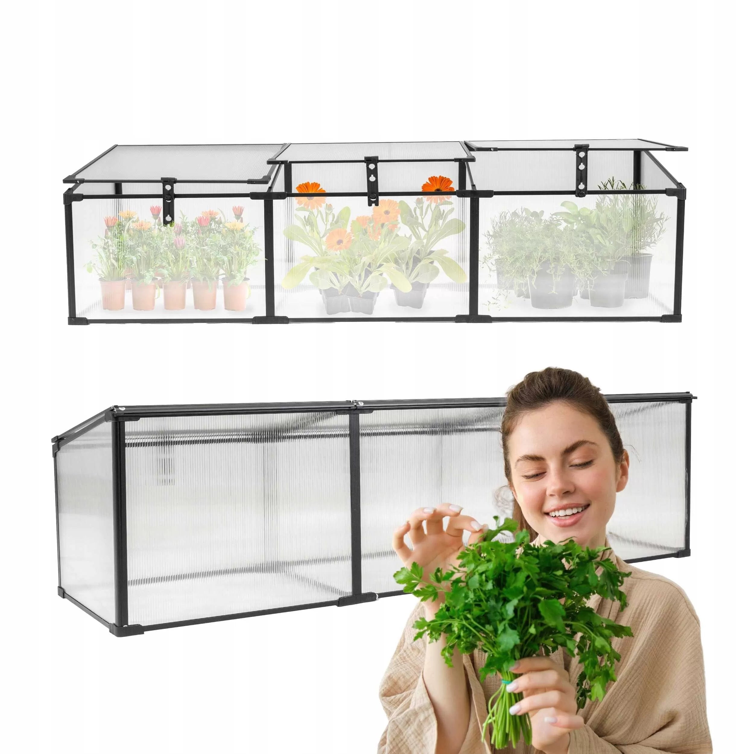MINI GREENHOUSE 180 CM INSPECTION SEEDLING 3 CHAMBERS BLACK MAGNOLIA III