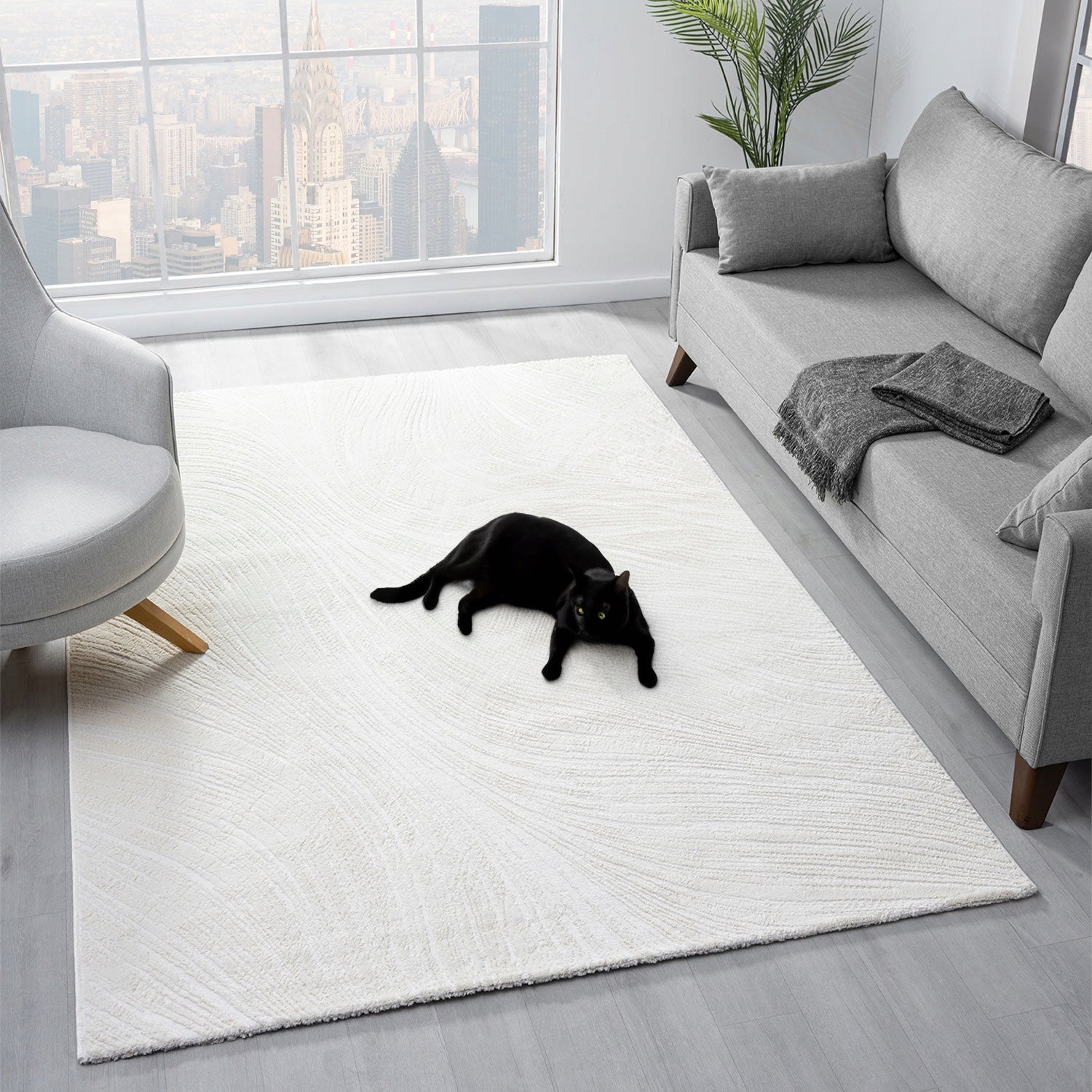 MODERN CARPET FOR LIVING ROOM 120X170 CREAM SOFT STYLISH COSTA 757 CREME Kind with short hair