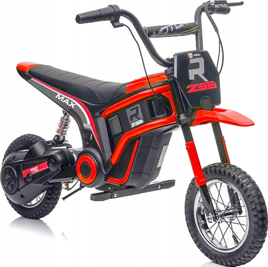 MOTOR FOR BATTERY CROSS 24V PUMPED WHEELS POWER 350W Brand no brand