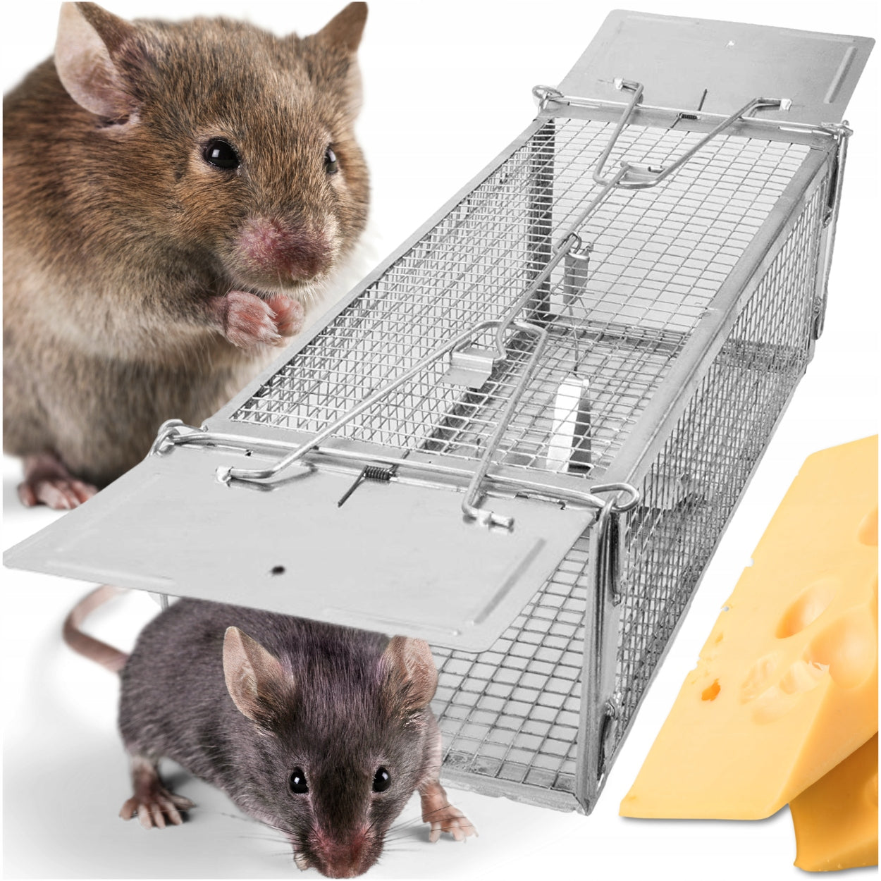 MOUSE RAT TRAP LIVETRAP XXL MARTENS PAW HUMANITARIAN RODENTS 41cm