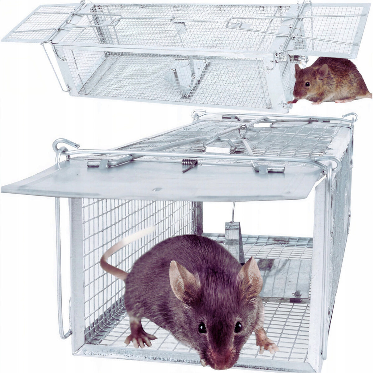 MOUSETRAP, MARTENS, RATTS, RODENTS, EFFECTIVE HEATTRAP, GALVANIZED