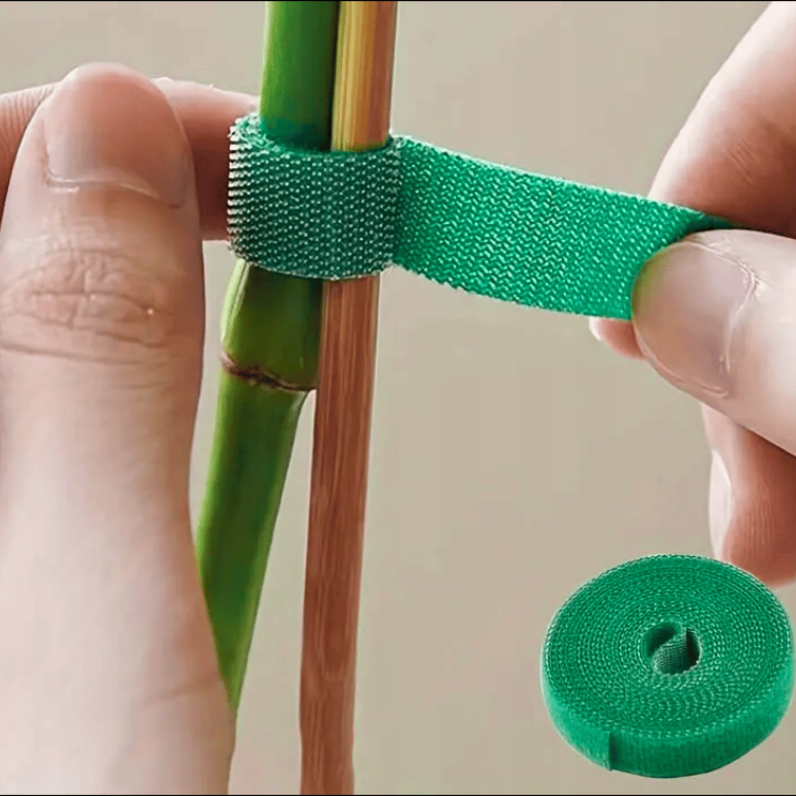 MULTIGRIP green VELCRO TAPE for plant ligation 5 meters Color green