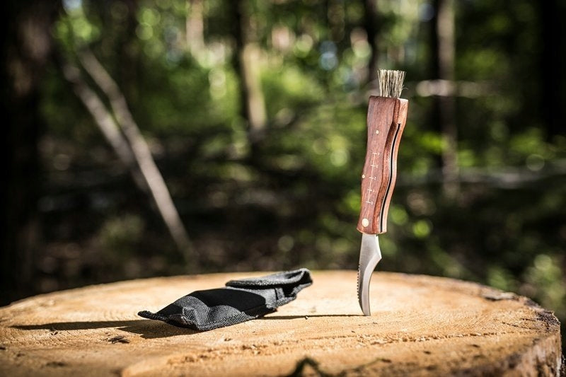 MUSHROOM MAKER KNIFE FOLDING WITH BROOM MUSHROOM MAKER CASE Manufacturer code NOŻYK DO ZBIERANIA GRZYBÓW GRZYBIARZA
