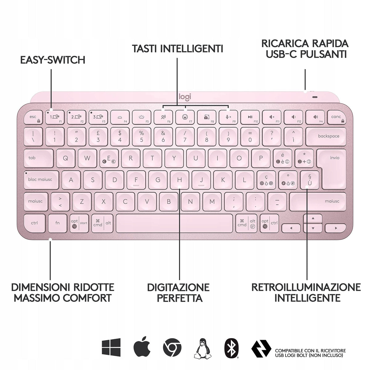 MX KEYS MINI ROSE Interface Bluetooth USB (Radio 2.4 GHz)