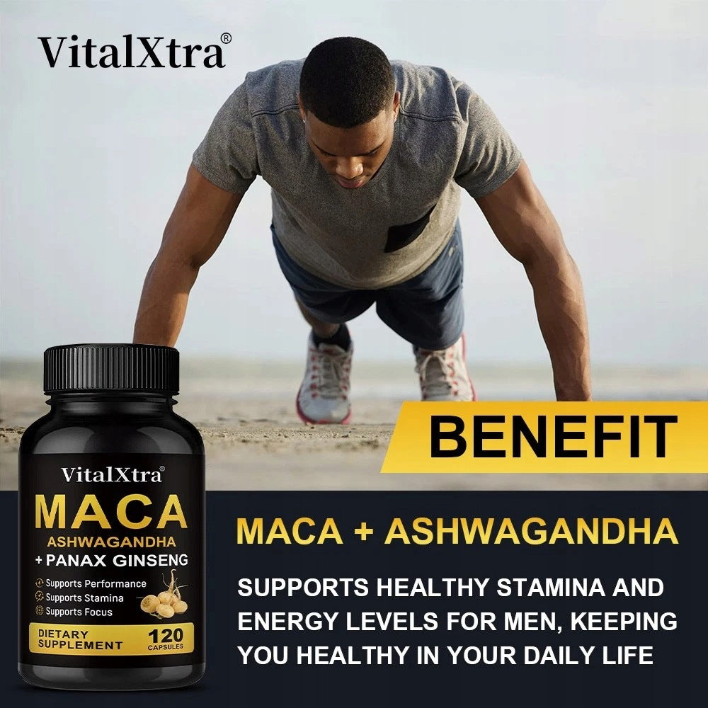 Maca root and ginseng capsules (Panax ginseng) – natural support Expiration date at least 1 year from the date of purchase