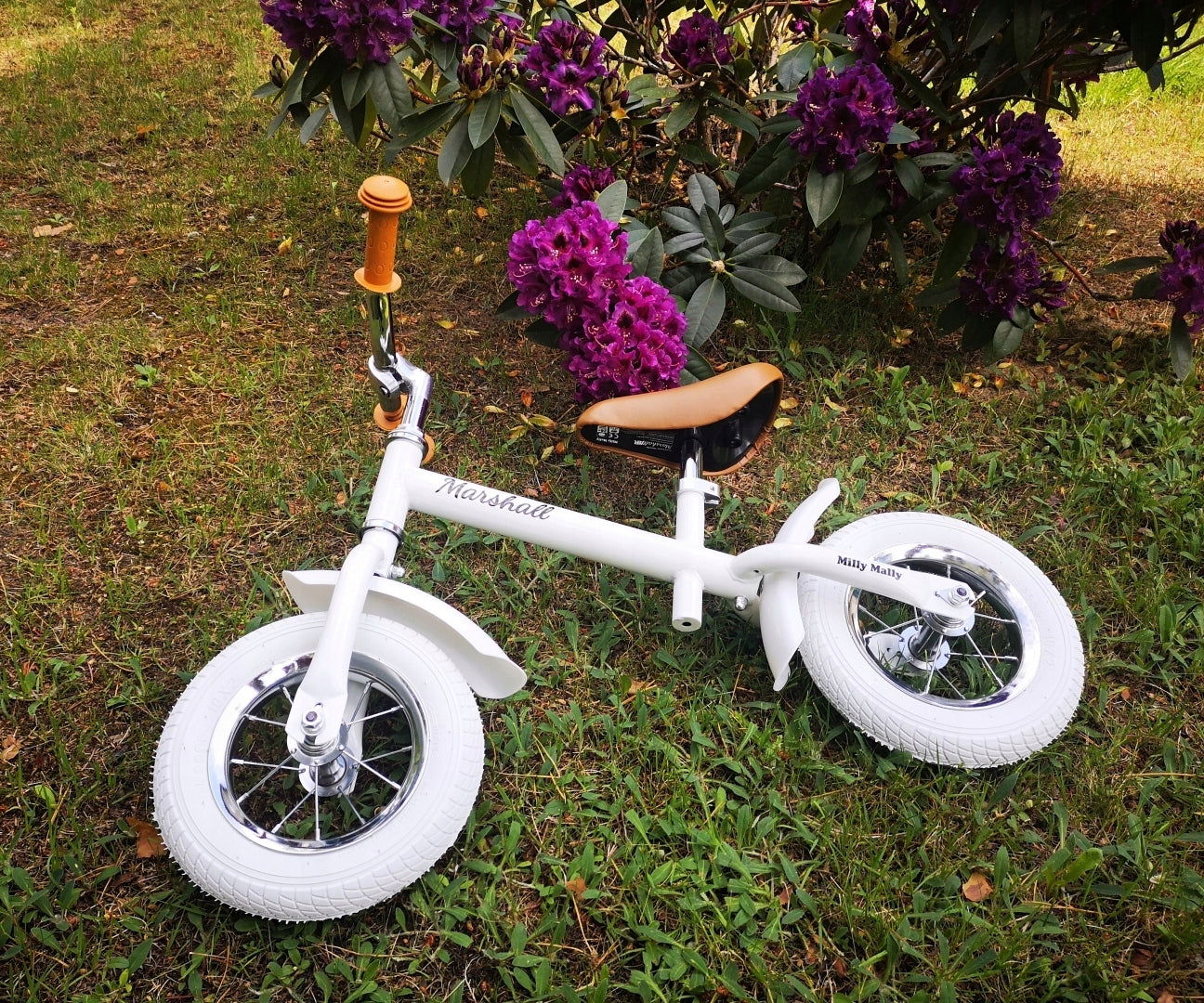 Marshall Air balance bike WHITE Milly Mally Classic Color white
