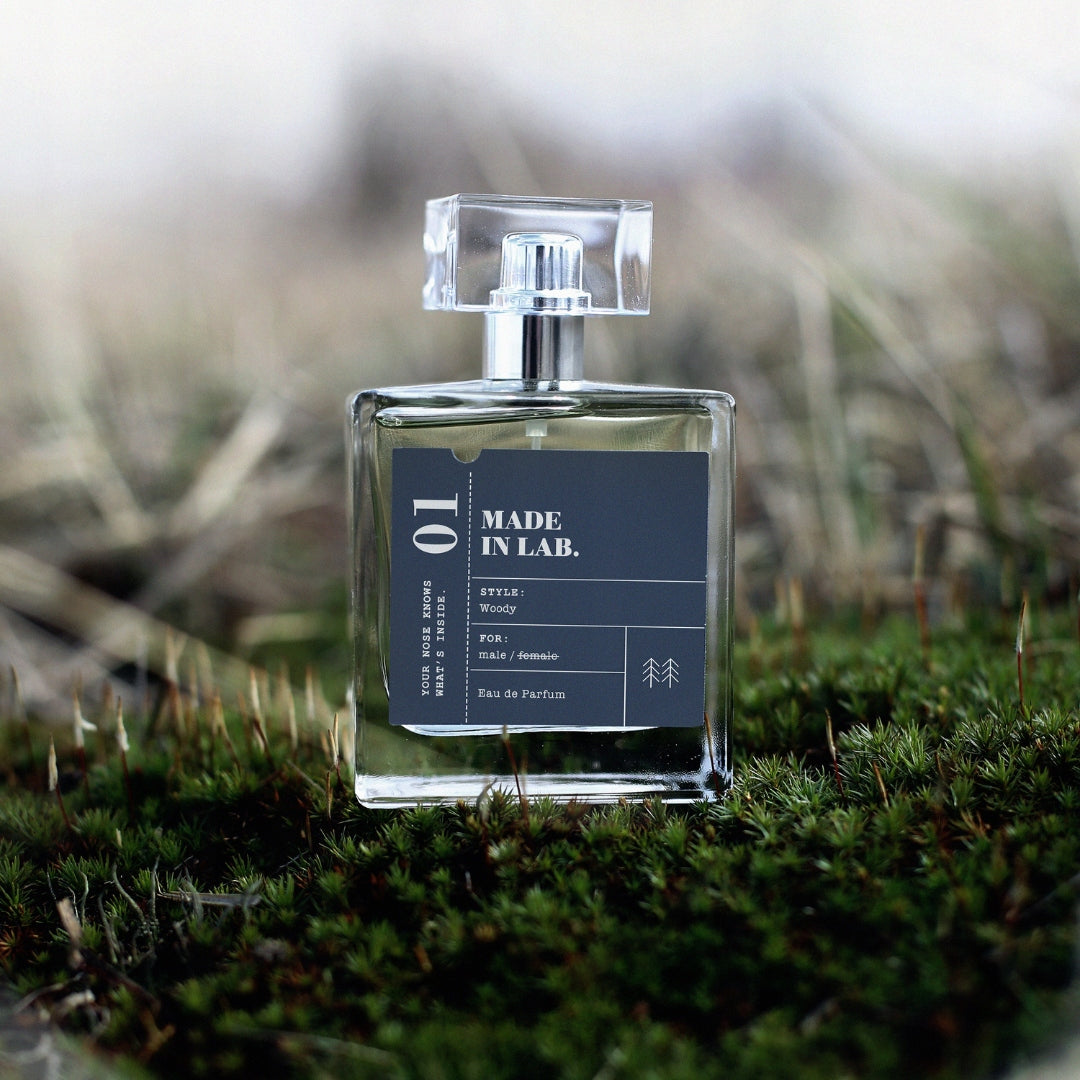 Men's Perfume MADE IN LAB 01 Perfumed Water for Men 100ml Manufacturer code 5902693163299