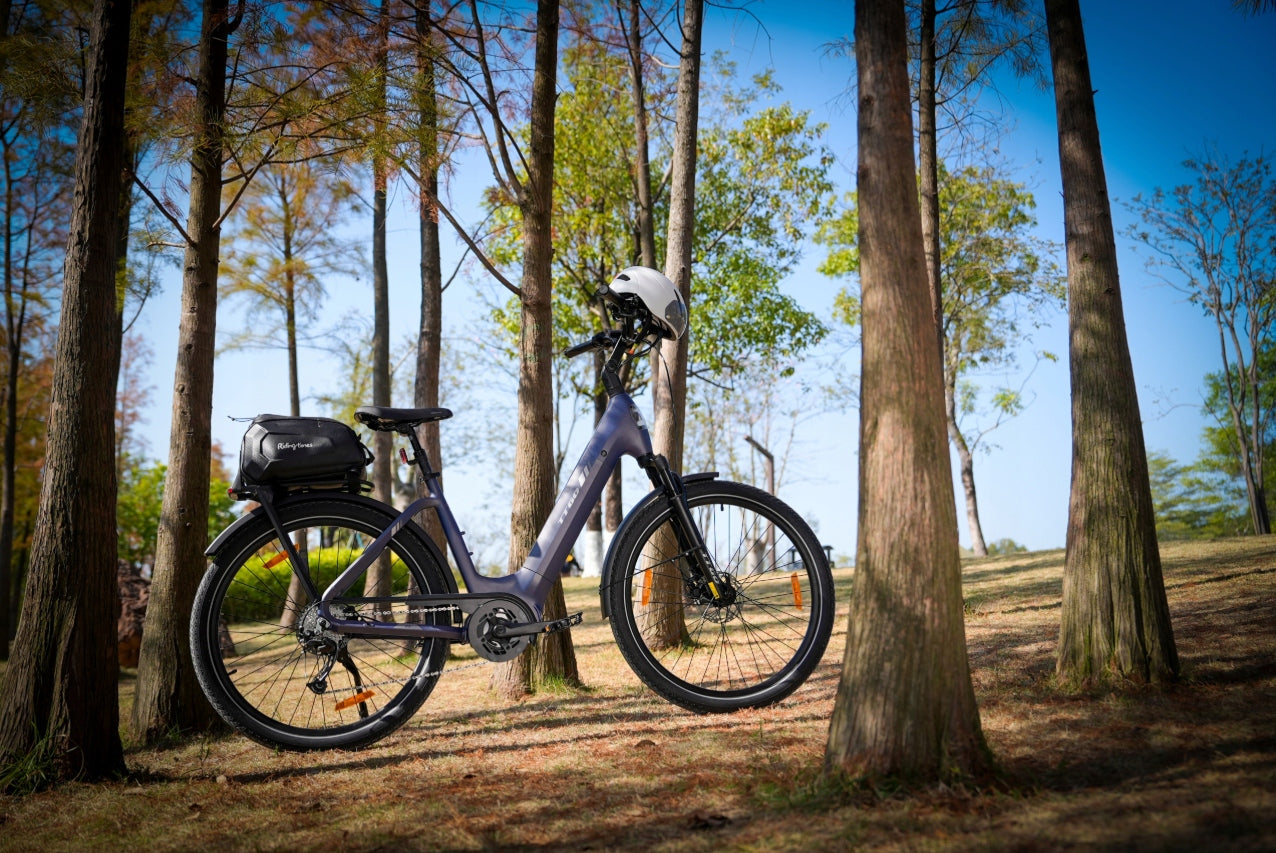 Men's/Women's E-Bike BAFANG TTGO 250W 36V 18AH 130HP 27.5" Foldability self-assembly, adjustable