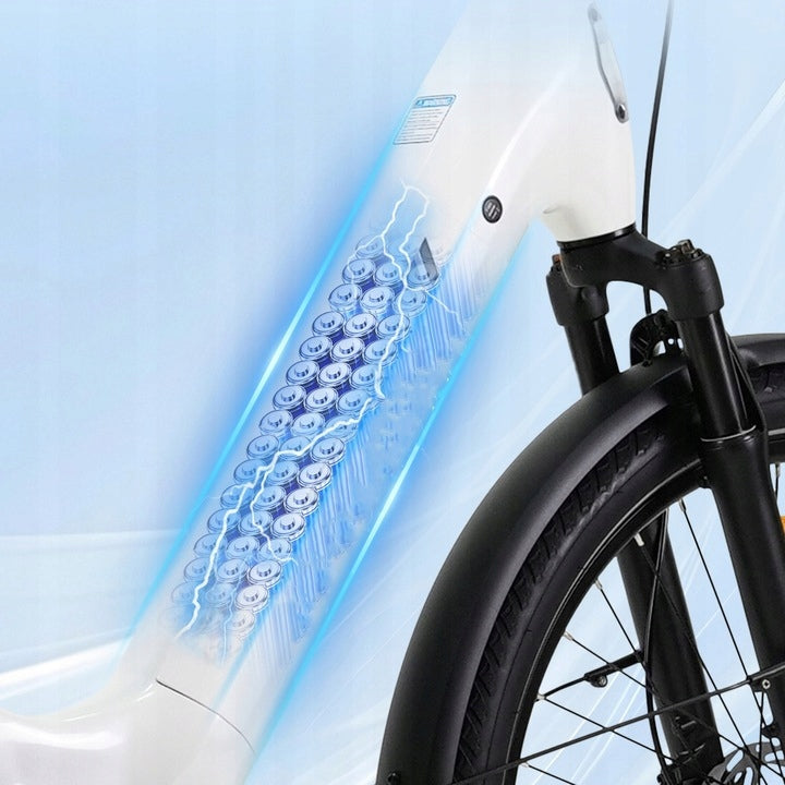 Men's/Women's E-Bike BAFANG TTGO Z5 250W 36V 18AH 130HP 27.5" Wheel size (") 27,5