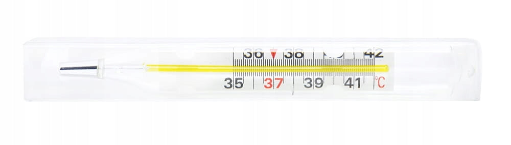 Mercury-free thermometer Intec GA02 Medical device yes