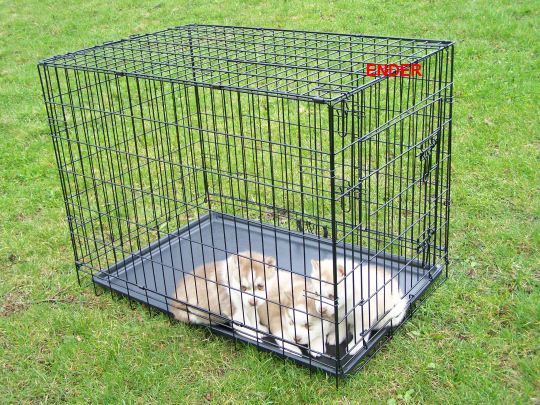 Metal Kennel Cage Transporter Folding for Cat Dog 76x54x62 cm L Length 76 cm