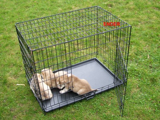 Metal Kennel Cage Transporter Folding for Cat Dog 76x54x62 cm L Product width 54 cm
