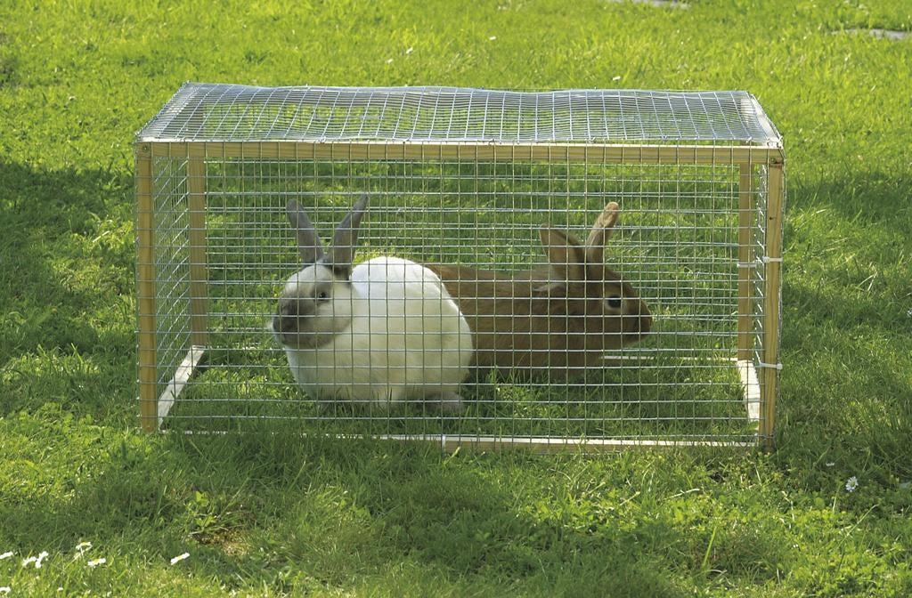 Metal Mesh Coated Welded 1x5m Garden Discount Breeding 6x6mm Length 5 m