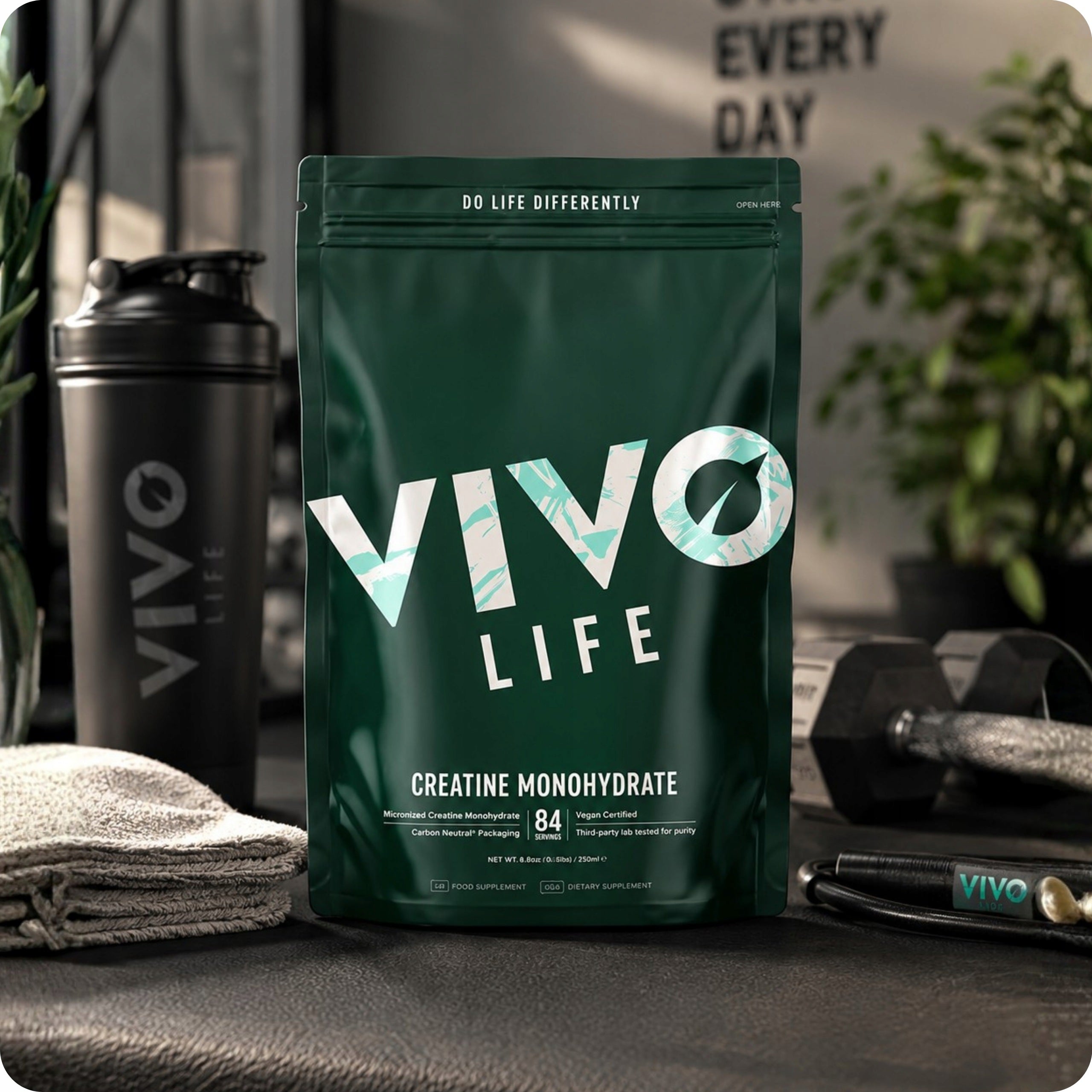 Micronized Creatine Monohydrate Vivo Life Vegan Creatine 252g/84portions Brand Vivo Life