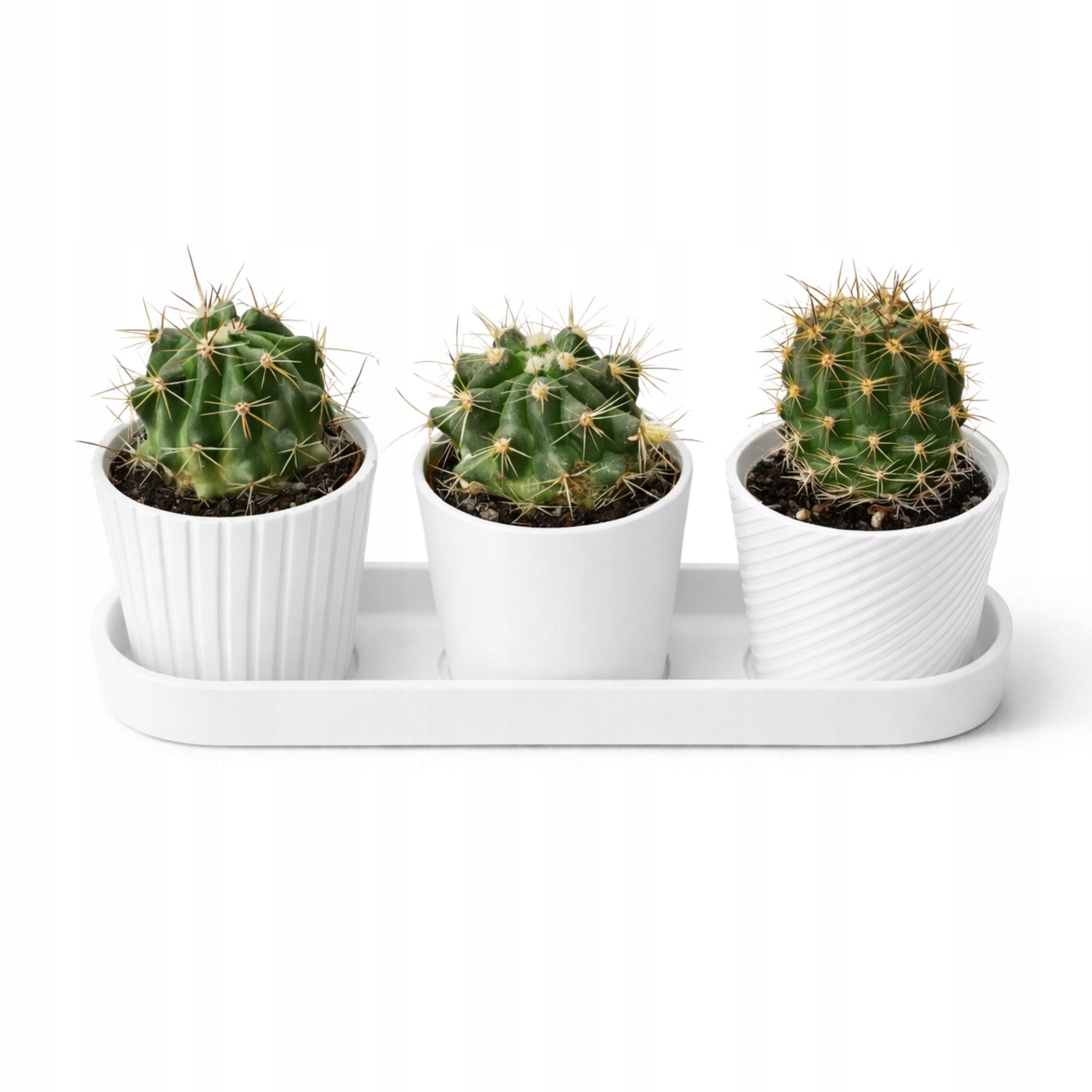 Mini Cactus Pots 3 Pack White with Stand Brand no brand