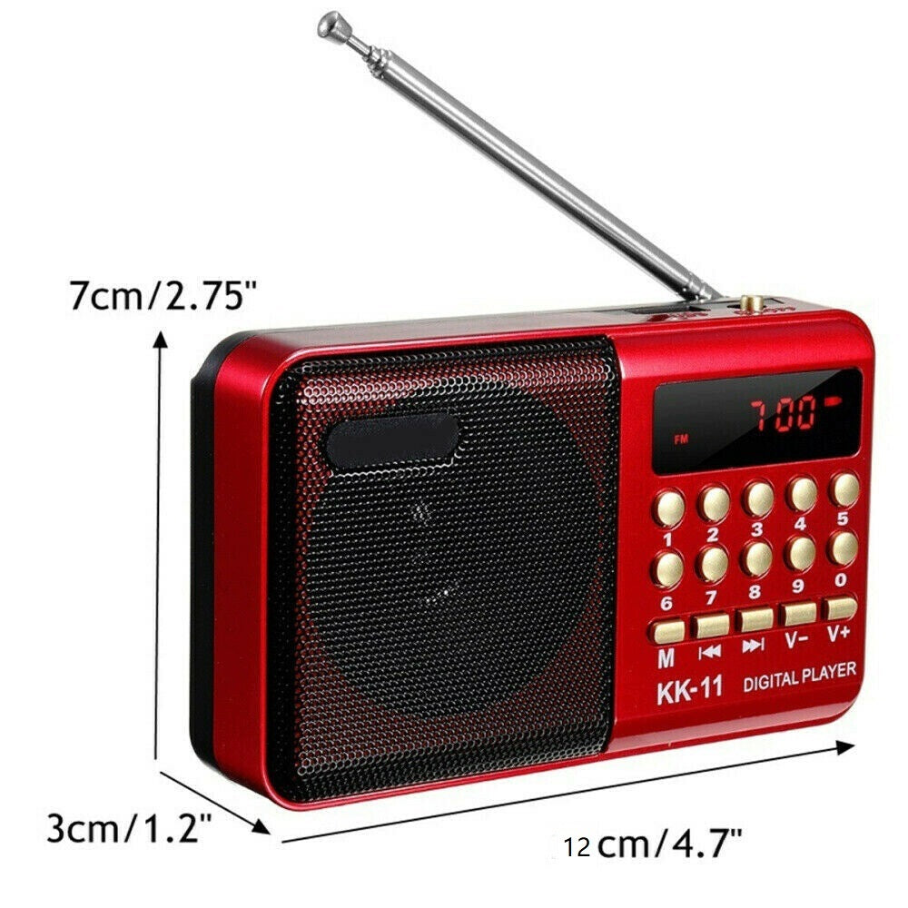Miniature Portable FM Radio Speaker with LCD Display and USB Function Model other