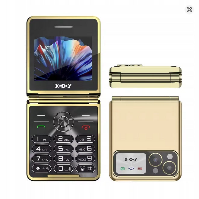 Mobile phone XGODY 13 Pro 1 GB / 32 MB 2G GOLD for senior