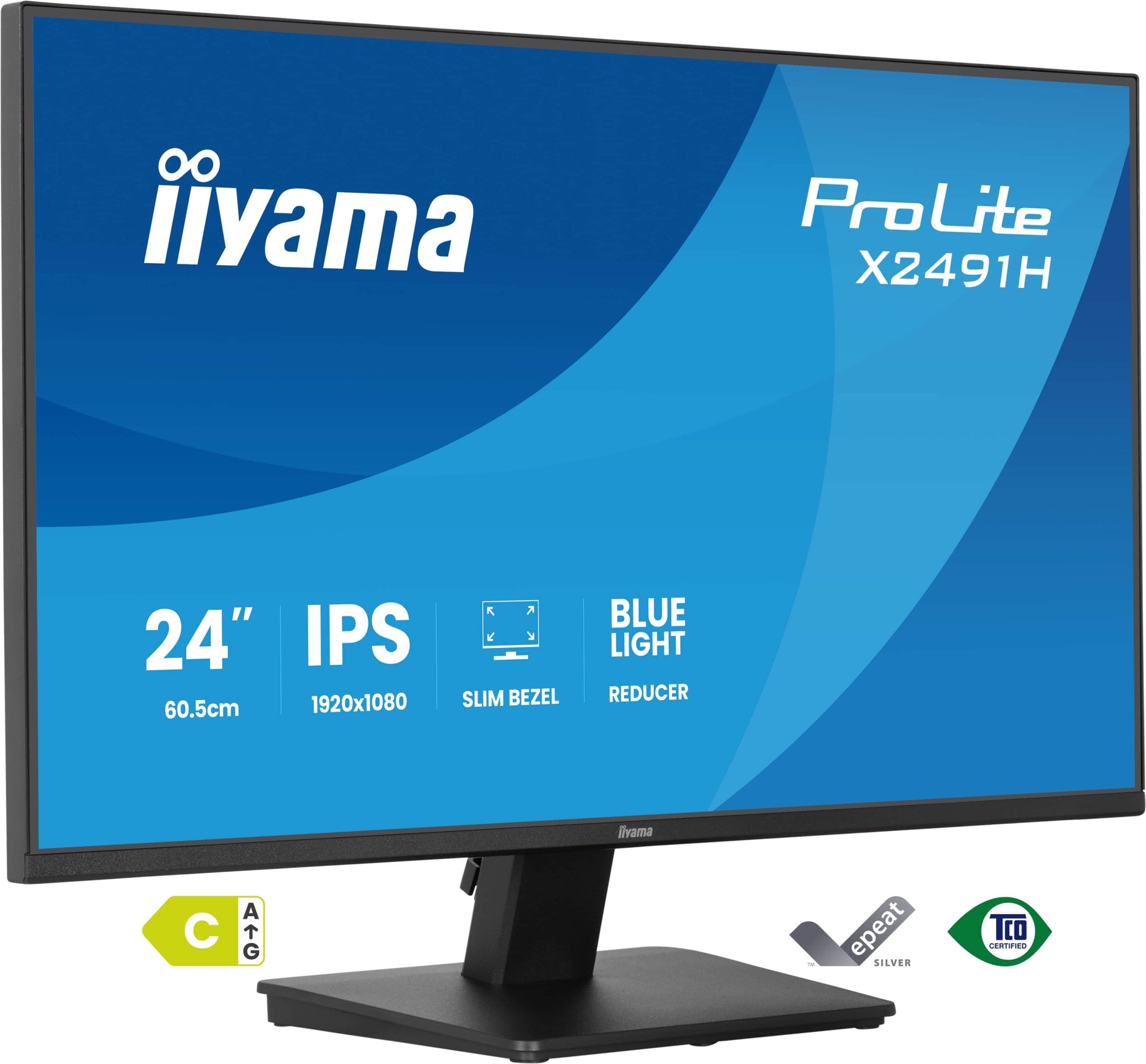 Monitor iiyama ProLite X2491H-B1