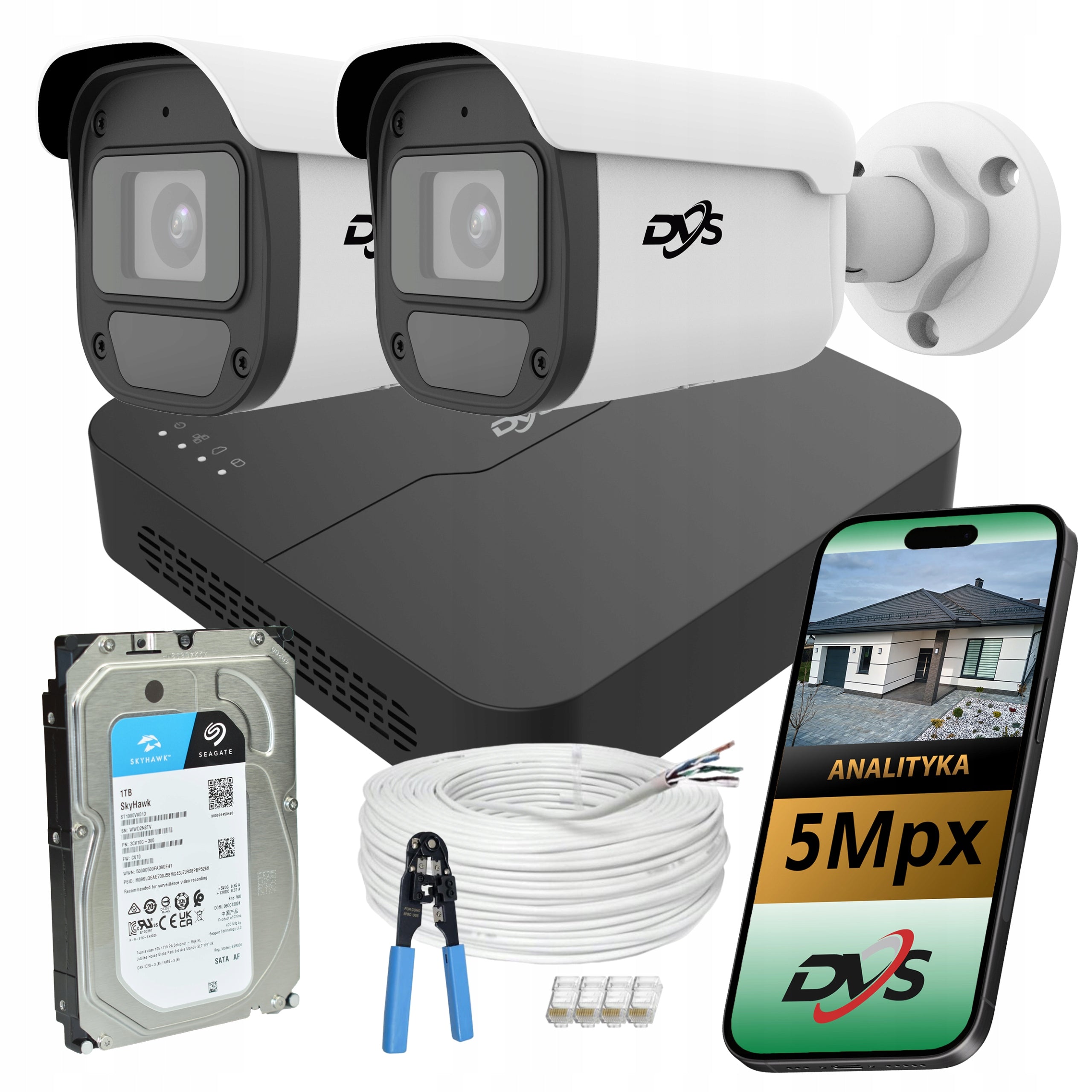 Monitoring kit 2 cameras IP PoE 5Mpx horn drive 1TB house property AI DVS