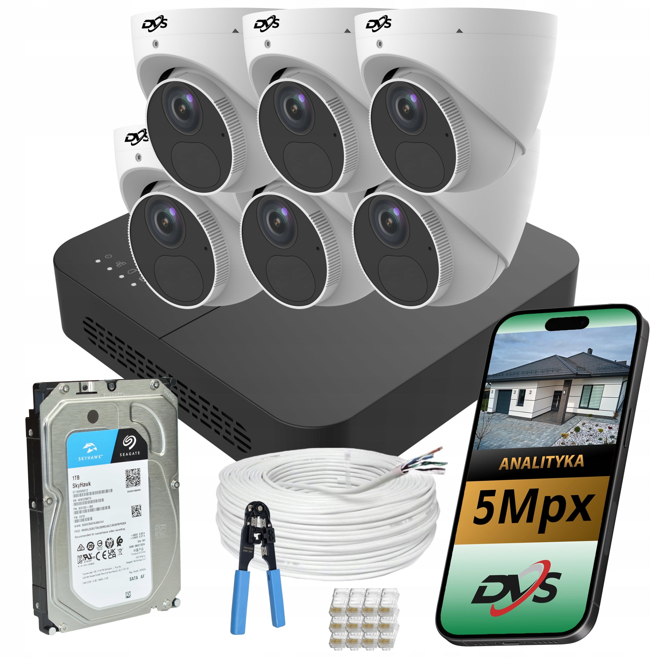 Monitoring kit 6 dome cameras IP PoE 5Mpx disk 1TB office shop DVS