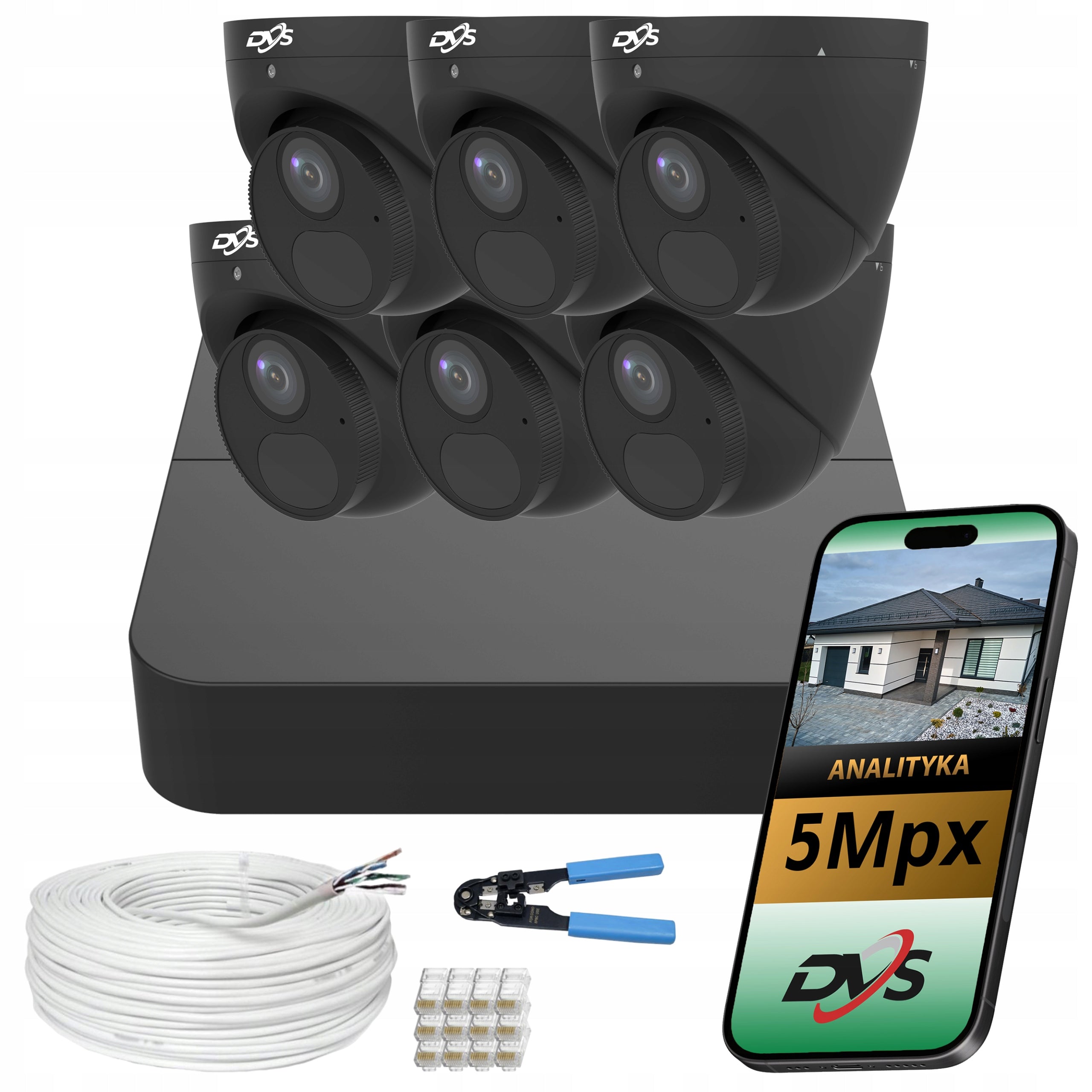 Monitoring kit 6 dome cameras black IP PoE 5Mpx company shop DVS