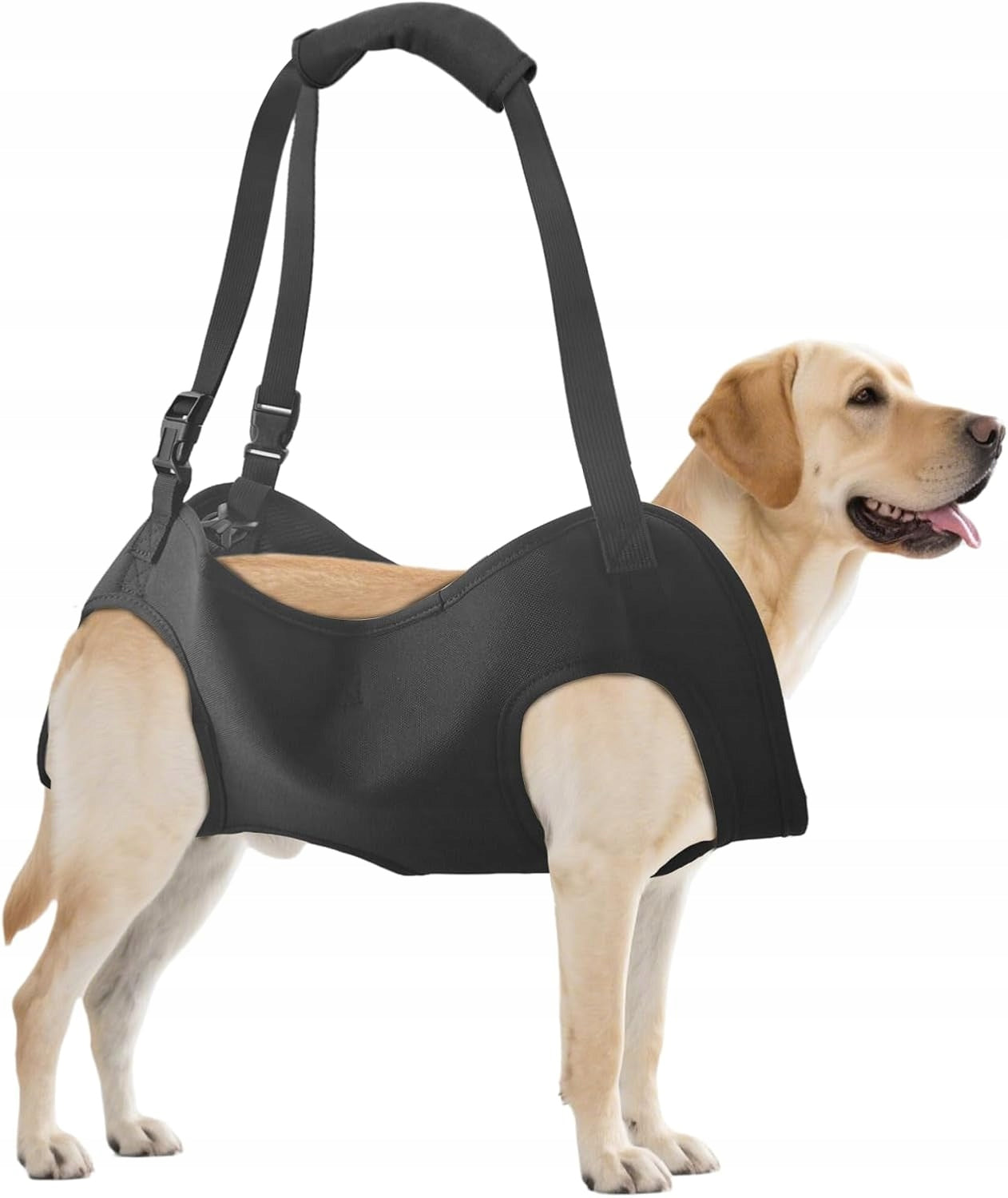 Movement assistance for elderly, injured and disabled dogs, size M Product width 30 cm