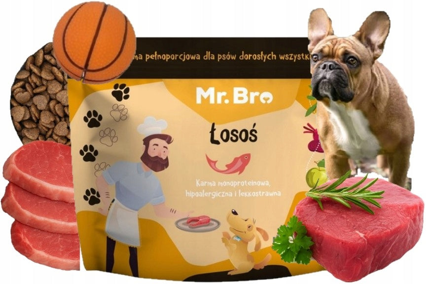 Mr. Bro Monoprotein Dry Dog Food with Salmon 3kg + FREEBIE !