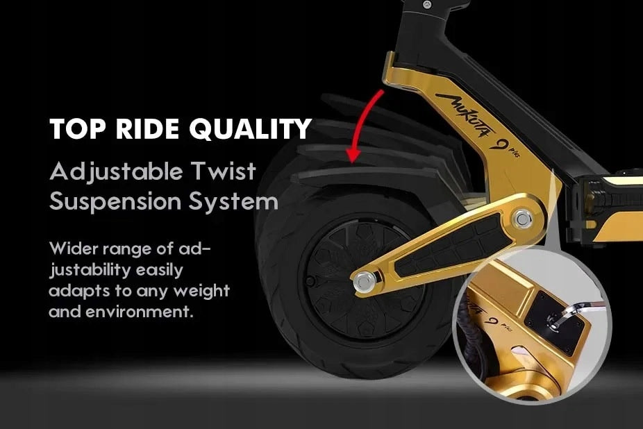 Mukuta 9 Plus black and gold electric scooter with removable battery 1600W Weight 33 kg