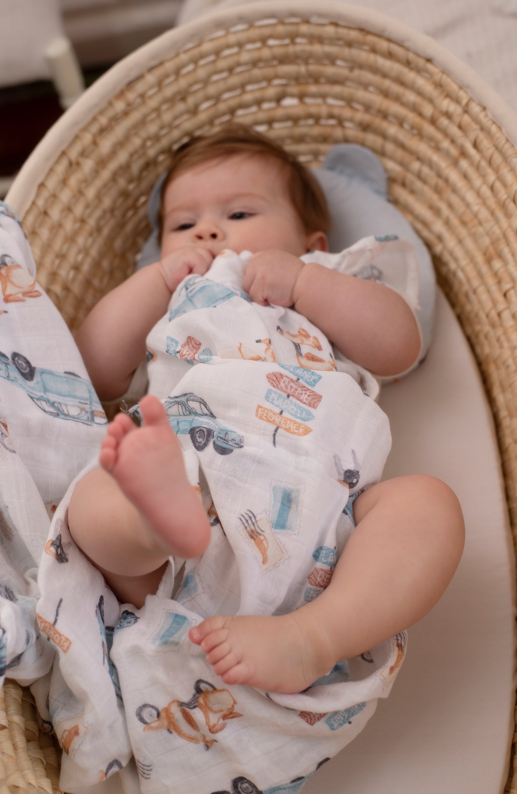 Muslin Diaper EKO bamboo swaddle 120x120 HYDRANGEA from the manufacturer Brand EKO