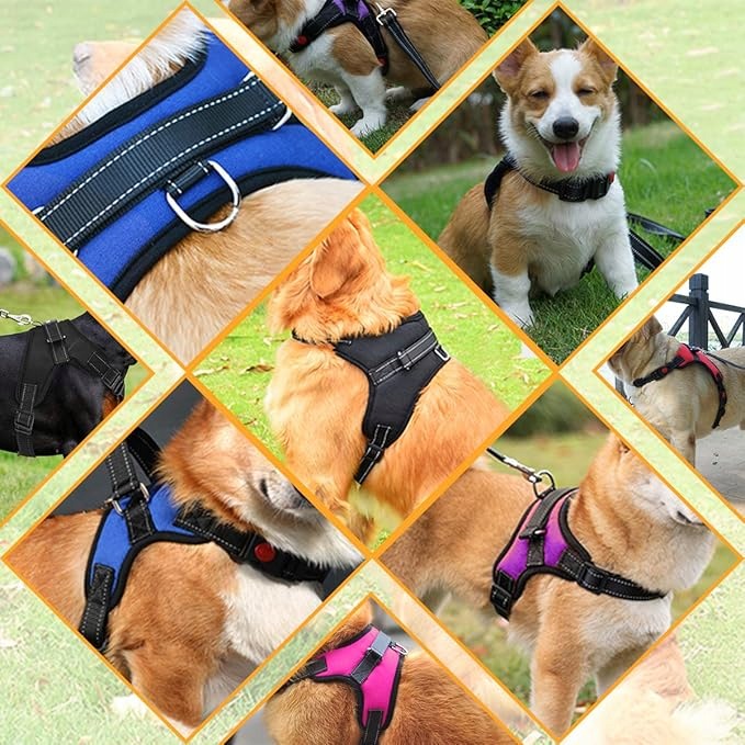 Musonic Breathable Adjustable Dog Harness with Lanyard, Size XS Blue Color blue