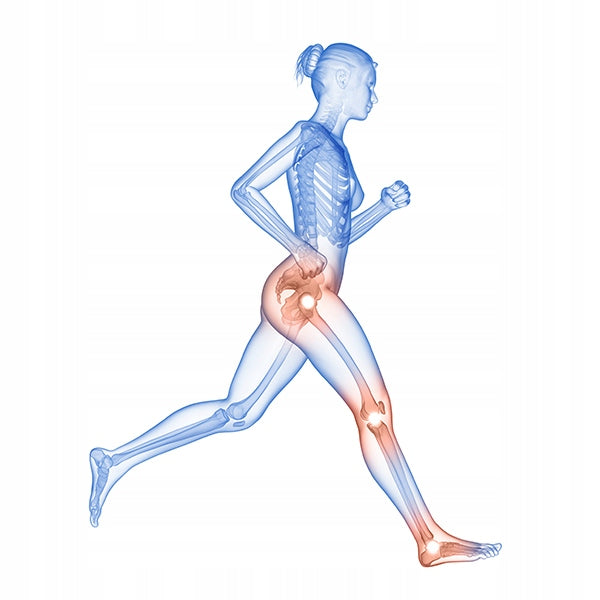 MycoMedica MycoFlex Healthy Joints and Bones 90 kaps. + FREEBIE Expiration date at least six months from the date of purchase