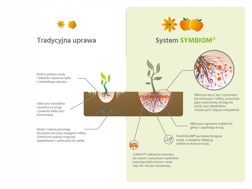 Mycorrhiza mycelium for blueberries Rhodovit Symbiom 100g Packaging status original