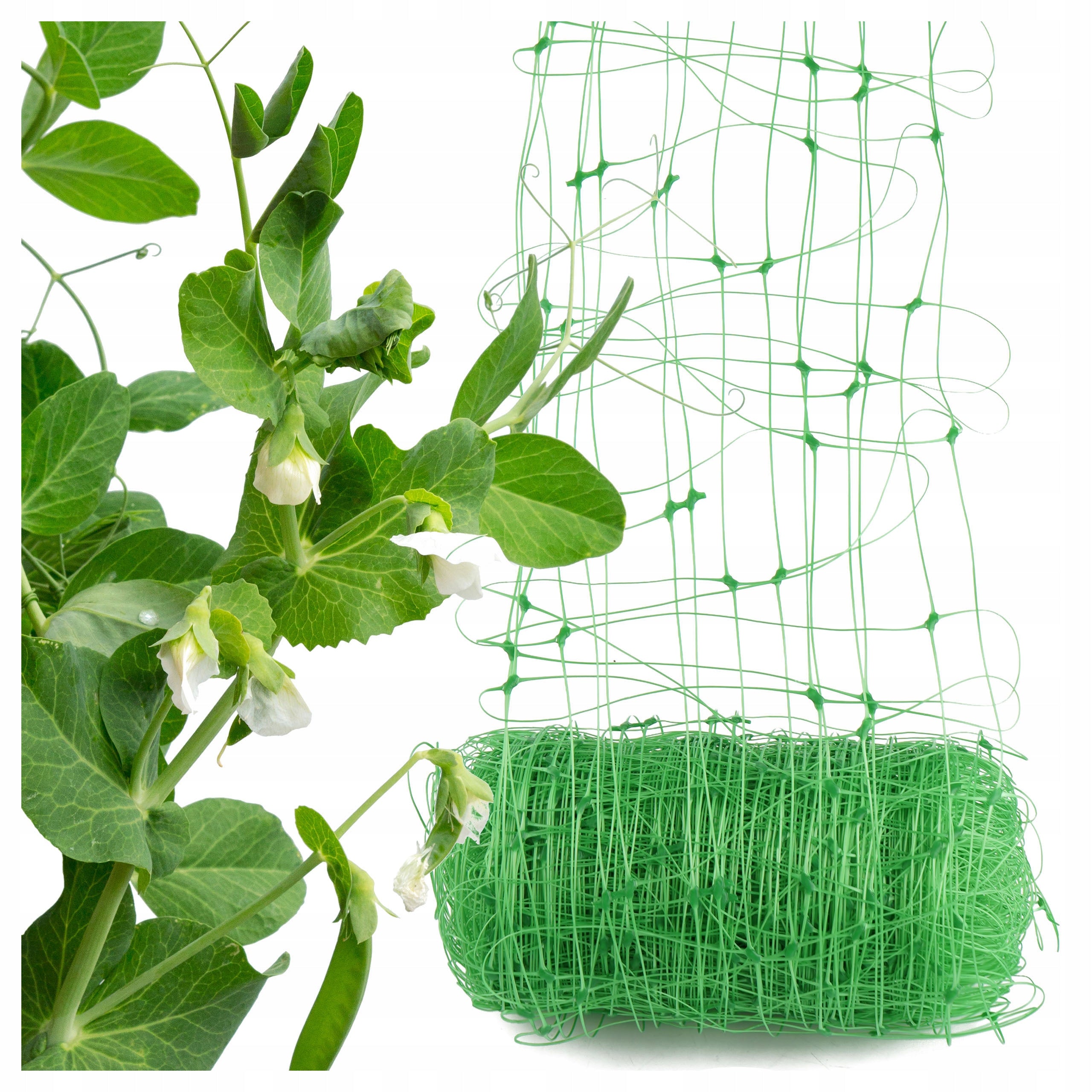 NET SUPPORT VEGETABLES CLIMBING PLANTS 2X10M 15X17CM 8G/M2 FOR SUPPORT Height 2 m