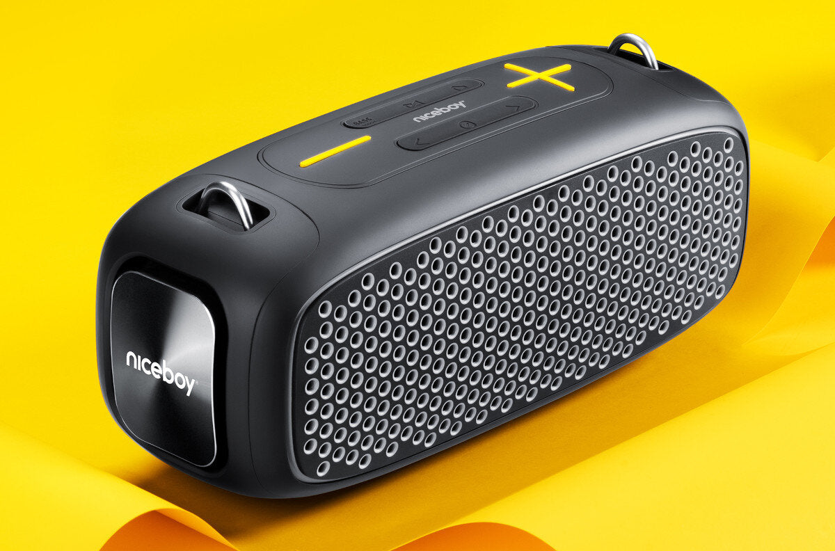 NICEBOY Raze Zeus Mobile Speaker 65W Battery 12h IPX6 TWS USB-C Powerbank Packaging status original