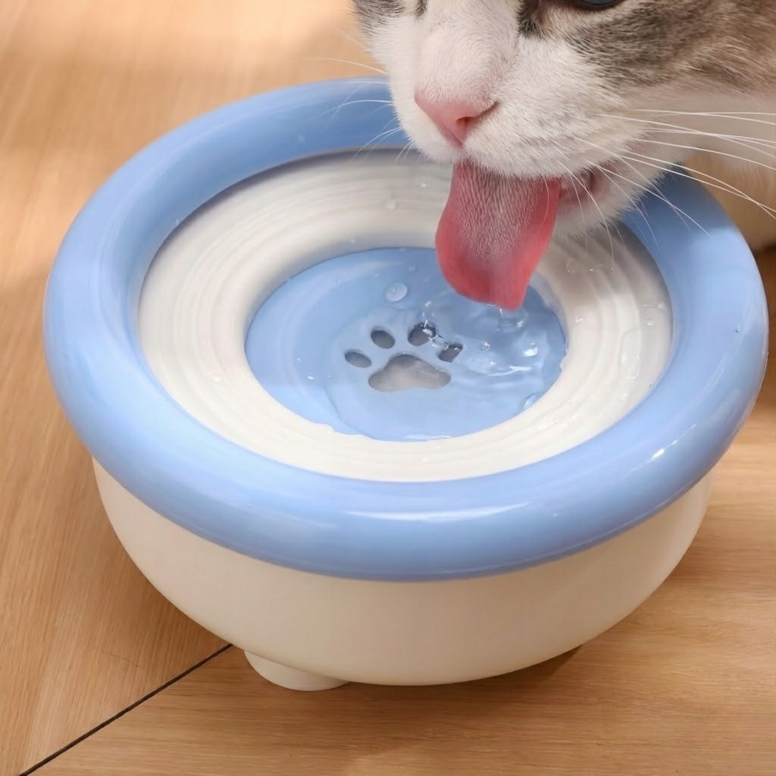 NON-SPILL BOWL FOR CAT DOG FOR WATER LARGE CAPACITY 1,5L SIEMIEC Manufacturer code MISKA DLA PSA KOTA NIEBIESKA
