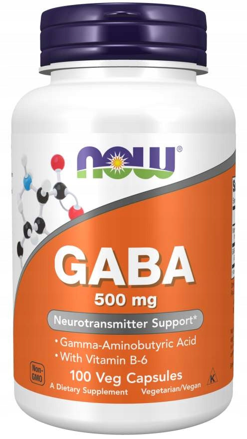 NOW Foods GABA 500mg 100k GAMMA-BUTTERY ACID