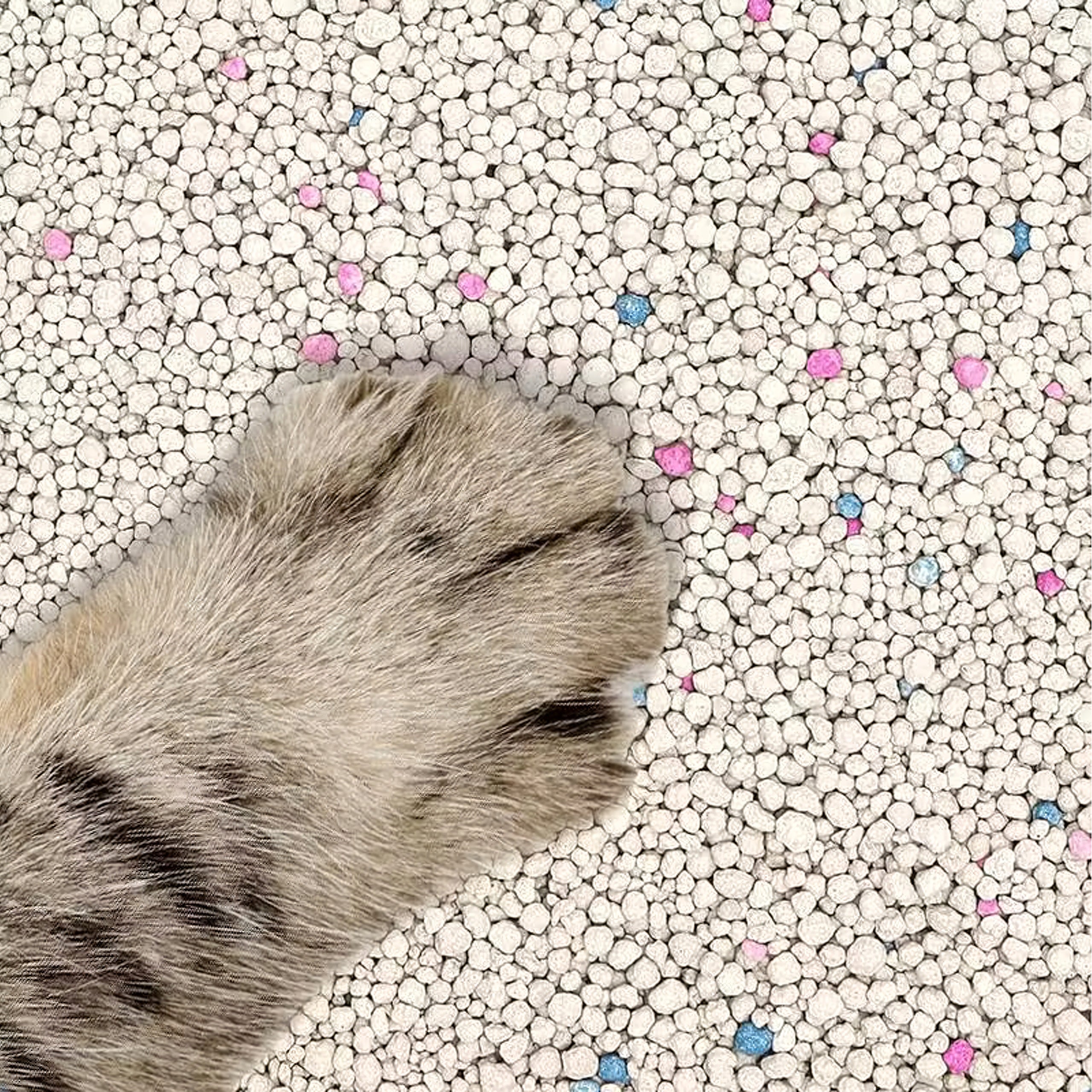 Natural Cat Bentonite Litter 20 KG 25 L Dust-Free Absorbent Brand Real Animals